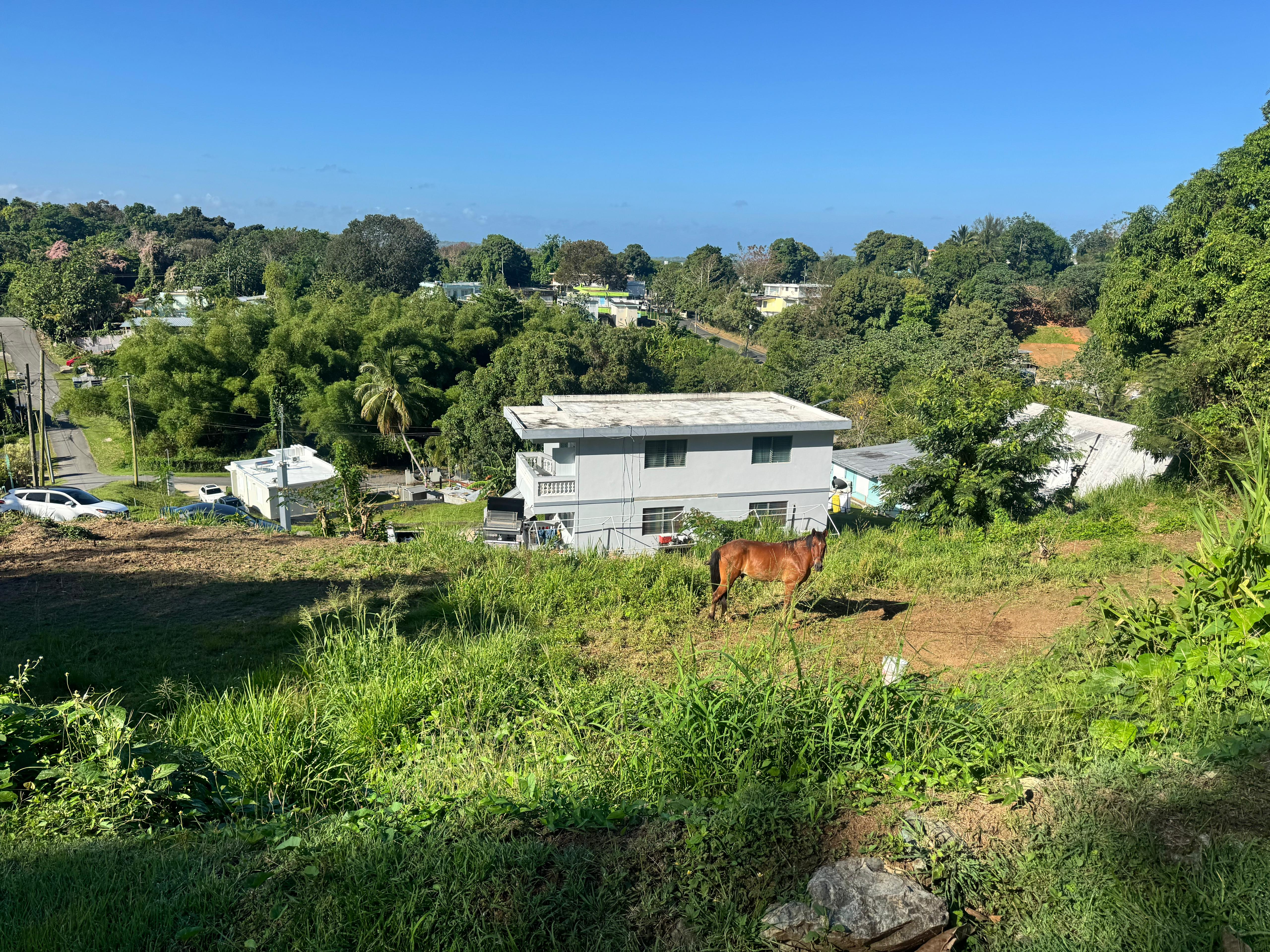 Mayagüez Masjid land - photo 1