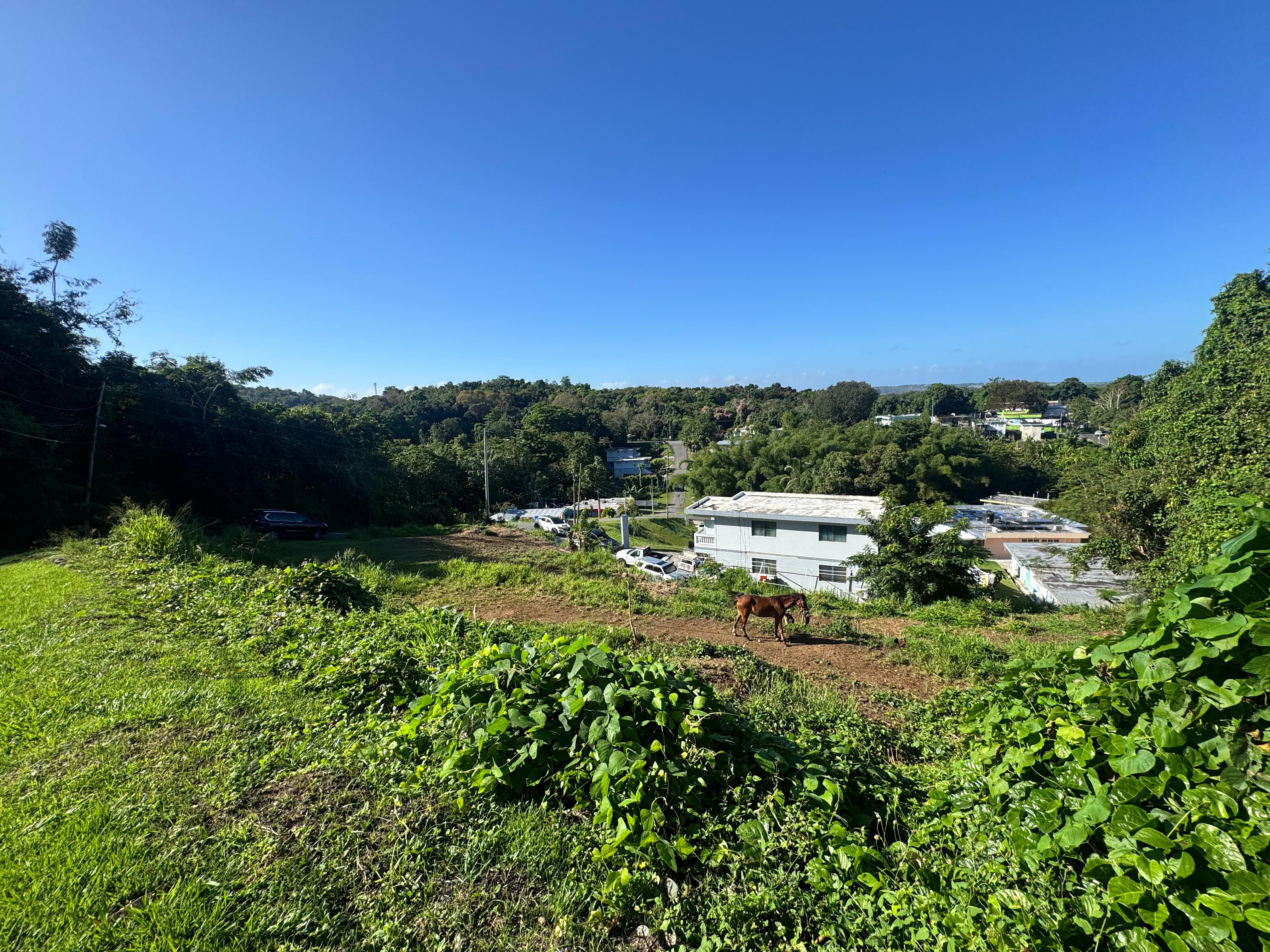 Mayagüez Masjid land - photo 2